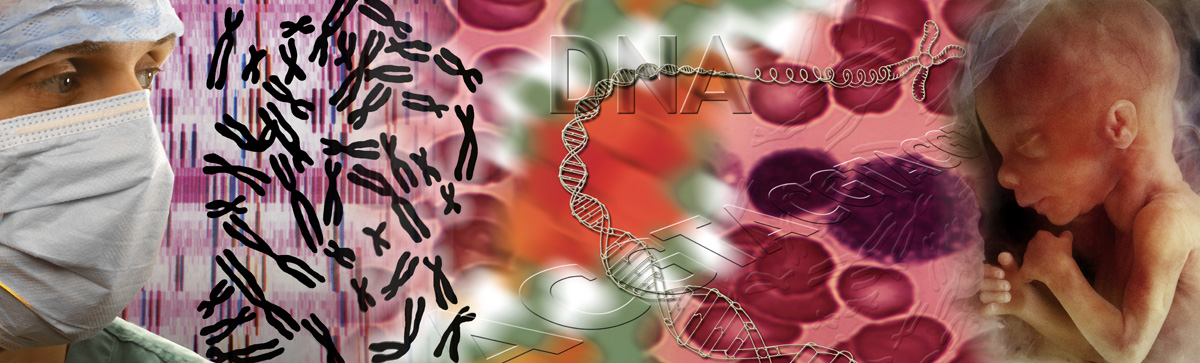 ADN et Sciences Humaines<br>ADN « poubelle »